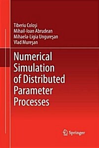 Numerical Simulation of Distributed Parameter Processes (Paperback)