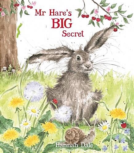 Mr Hares Big Secret (Hardcover)