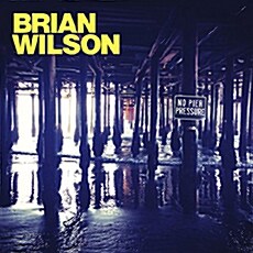 [중고] [수입] Brian Wilson - No Pier Pressure [2LP]