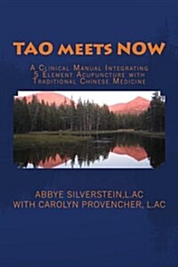 Tao Meets Now: A Clinical Manual Integrating 5 Element Acupuncture with Traditional Chinese Medicine (Paperback)
