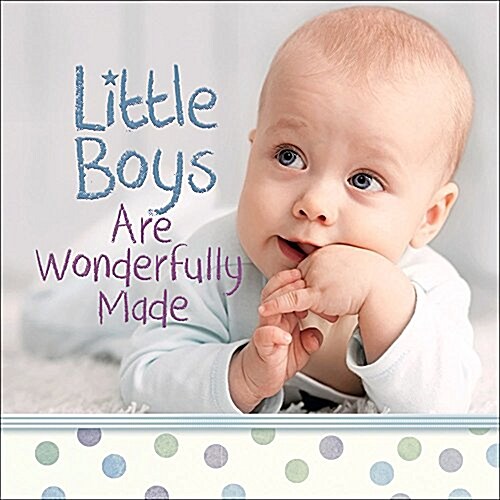 Little Boys Are Wonderfully Made (Hardcover)