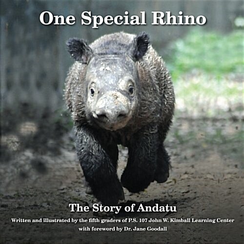 One Special Rhino: The Story of Andatu (Paperback)
