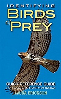 Identifying Birds of Prey: Quick Reference Guide for Eastern North America (Paperback)