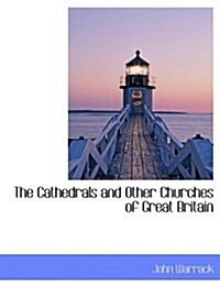 The Cathedrals and Other Churches of Great Britain (Hardcover)