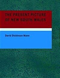 The Present Picture of New South Wales (Paperback)