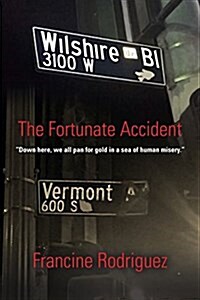 The Fortunate Accident (Paperback)