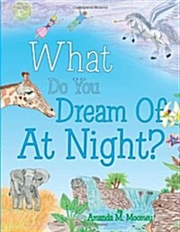 What Do You Dream of at Night? (Paperback)