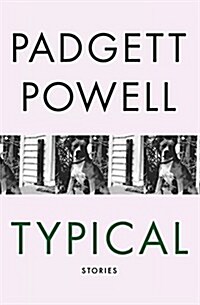 Typical: Stories (Paperback)