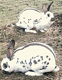 Rabbit and Cavy Culture (Paperback)