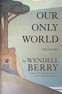 Our only world : ten essays