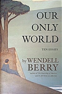 Our Only World: Ten Essays (Paperback)