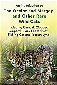 An Introduction to the Ocelot and Margay and Other Rare Wild Cats Including Caracal, Clouded Leopard, Black Footed Cat, Fishing Cat and Iberian Lynx (Paperback)