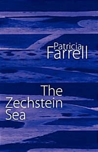 The Zechstein Sea (Paperback)