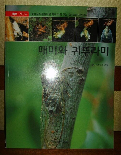 올빼미와 부엉이 : 자연 탐구력과 사고력을 키워주는 자연관찰 표지이미지