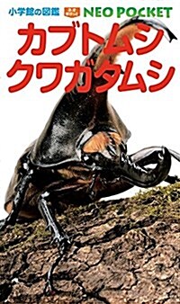 カブトムシ·クワガタムシ (小學館の圖鑑ネオぽけっと 10) (單行本)