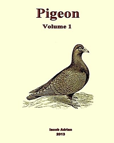 Pigeon Volume 1 (Paperback)