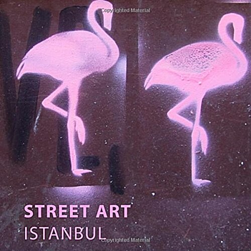 Street Art Istanbul (Paperback, Large Print)