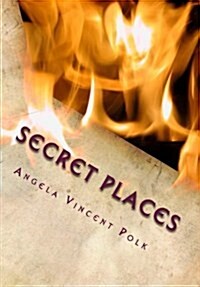 Secret Places: Understanding Destructive Nature of Sin (Paperback)