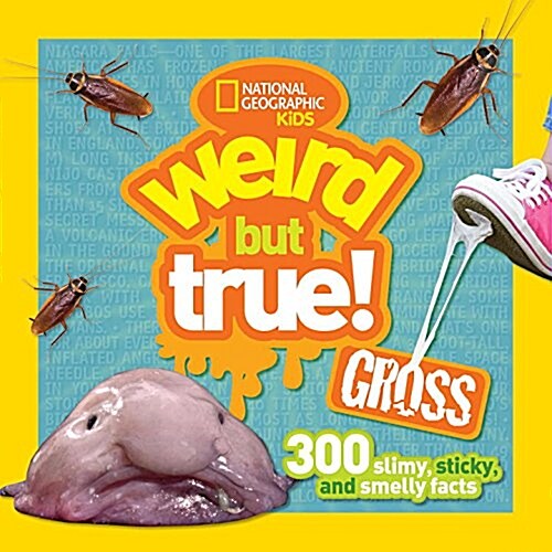 [중고] Weird But True Gross: 300 Slimy, Sticky, and Smelly Facts (Paperback)