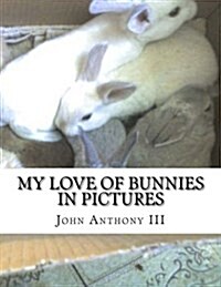 My Love of Bunnies: In Pictures (Paperback)