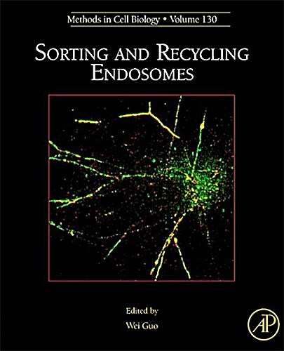 Sorting and Recycling Endosomes: Volume 130 (Hardcover)