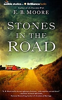 Stones in the Road (Audio CD, Library)
