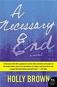 A Necessary End (Paperback)