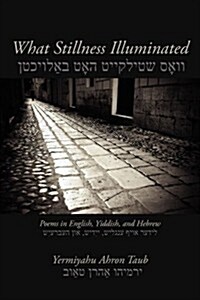 What Stillness Illuminated: Poems in English, Yiddish, and Hebrew (Paperback)