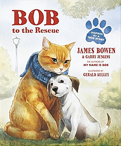 Bob to the Rescue : An Illustrated Picture Book (Paperback)