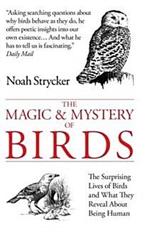 The Magic & Mystery of Birds : The Surprising Lives of Birds and What They Reveal About Being Human (Paperback, Main)