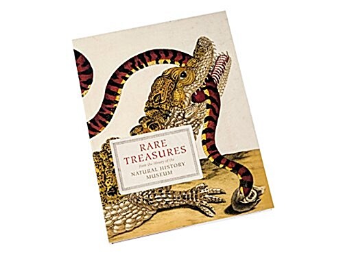 Rare Treasures : From the Library of the Natural History Museum (Paperback)