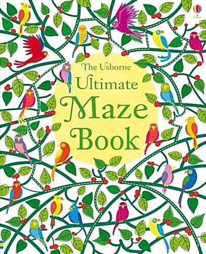 Ultimate Maze Book (Paperback)