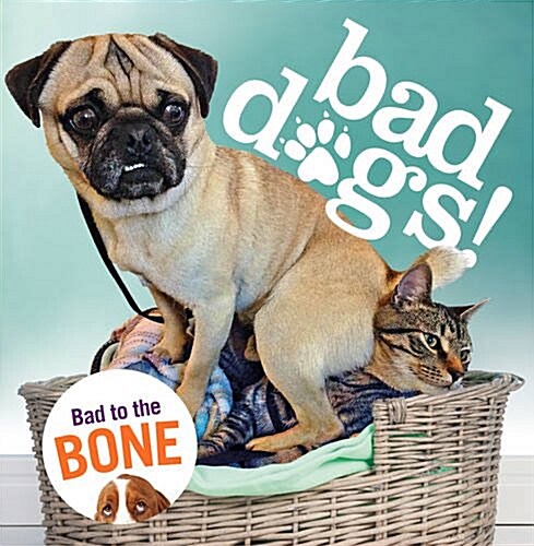 Bad Dogs (Hardcover)