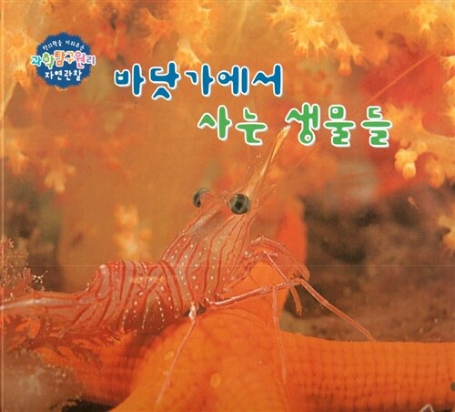 바닷가에서 사는 생물들