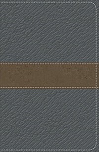 Study Bible for Boys-KJV-Metallic Design (Imitation Leather)