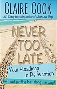 Never Too Late: Your Roadmap to Reinvention (Without Getting Lost Along the Way) (Paperback)