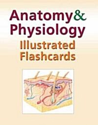 Anatomy and Physiology Illustrated Flashcards (Paperback, 3)