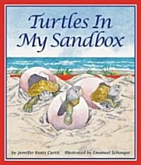 Turtles in My Sandbox (Paperback)