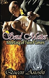 Soul Mates: Meeting of Twin Flames (Paperback)