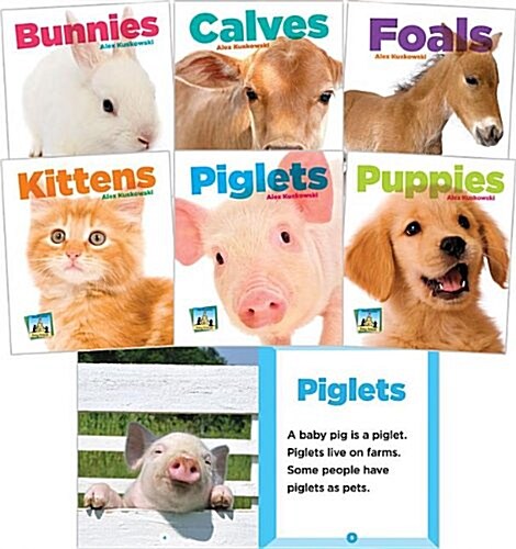 Baby Animals Set 1 (Set) (Library Binding)