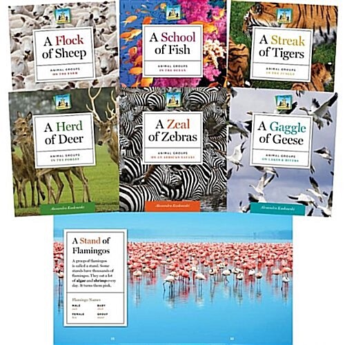 Animal Groups (Set) (Library Binding)