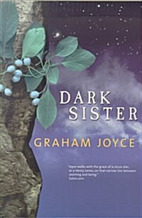 Dark Sister (Paperback, 1st)