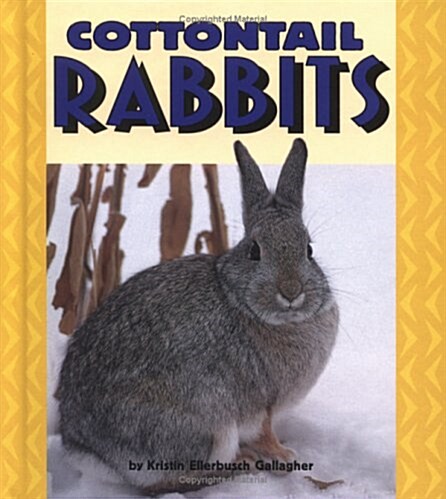 Cottontail Rabbits (Library)