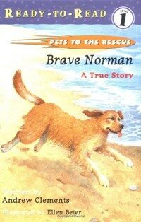 Brave Norman (School & Library) - A True Story