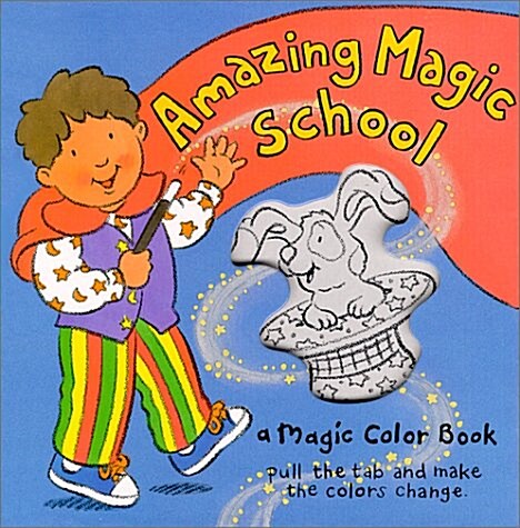 Amazing Magic School (Hardcover)