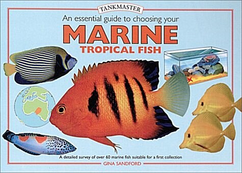 An Essential Guide to Choosing Your Marine Tropical Fish (Hardcover, 1st)