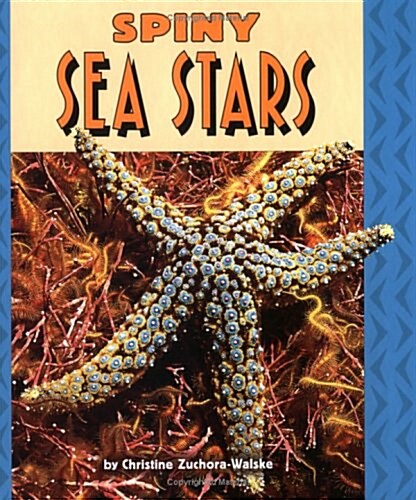 Spiny Sea Stars (Library)