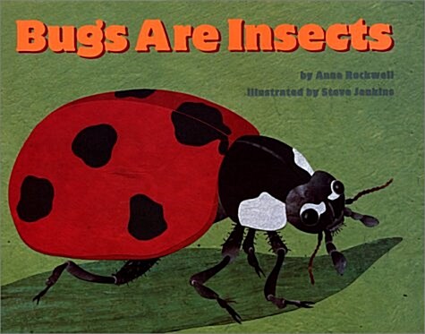 Bugs Are Insects (Hardcover)