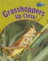 Grasshoppers Up Close (Library)