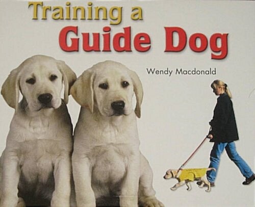 [중고] Training a Guide Dog (Paperback)